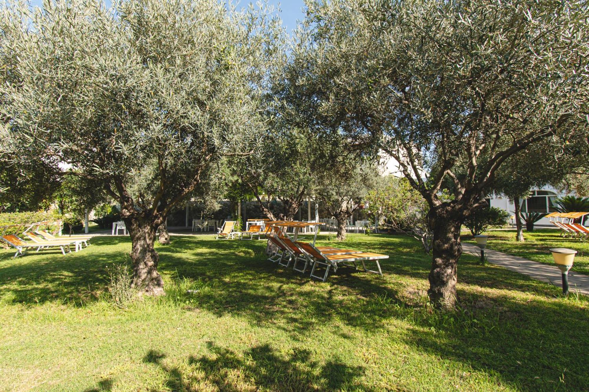 Hotel Park Victoria Forio di Ischia 外观 照片